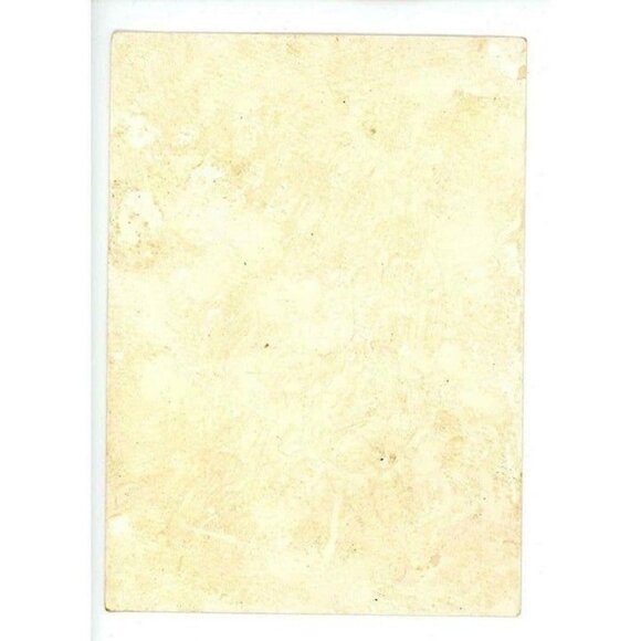 1880's Beautiful Victorian Embossed Springtime Blooming Flowers! - Picture 6 of 9